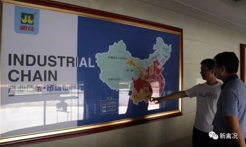 國雞侶行丨湘佳牧業(yè) 兩大秘訣實現生鮮國雞銷售9億元