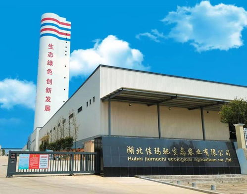 佳瑪馳黃腐酸復合肥上市,致力打造綠色 健康農業(yè)